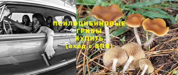 дмт Абаза