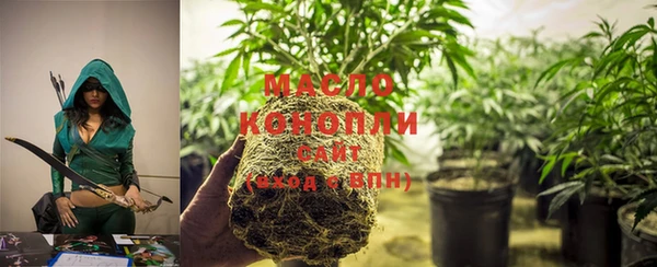 дмт Абаза