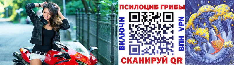 где можно купить Череповец KRAKEN ONION Галлюциногенные грибы MAGIC MUSHROOMS
