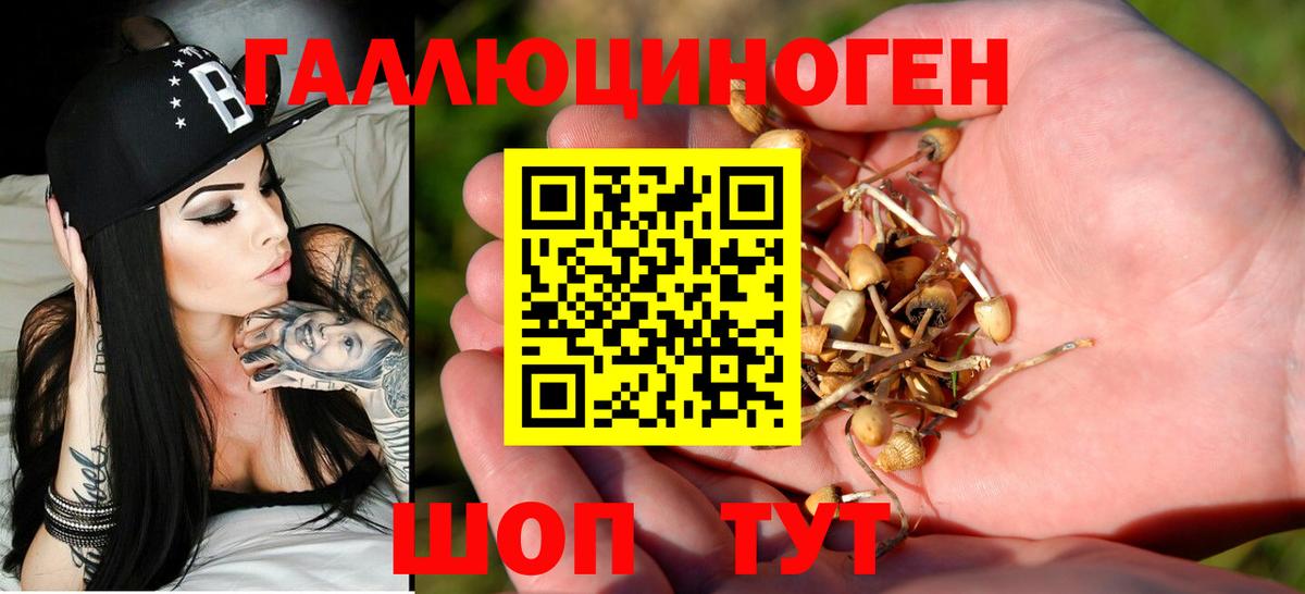 Галлюциногенные грибы Psilocybe  Вход с VPN  Череповец 